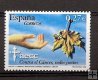 Sellos - Países - España - 2º Cent. (Series Completas) - Juan Carlos I - 2004 - 4062 - **