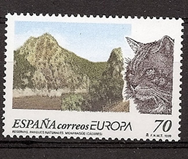 Sellos - Países - España - 2º Cent. (Series Completas) - Juan Carlos I - 1999 - 3628 - ** - Click en la imagen para cerrar