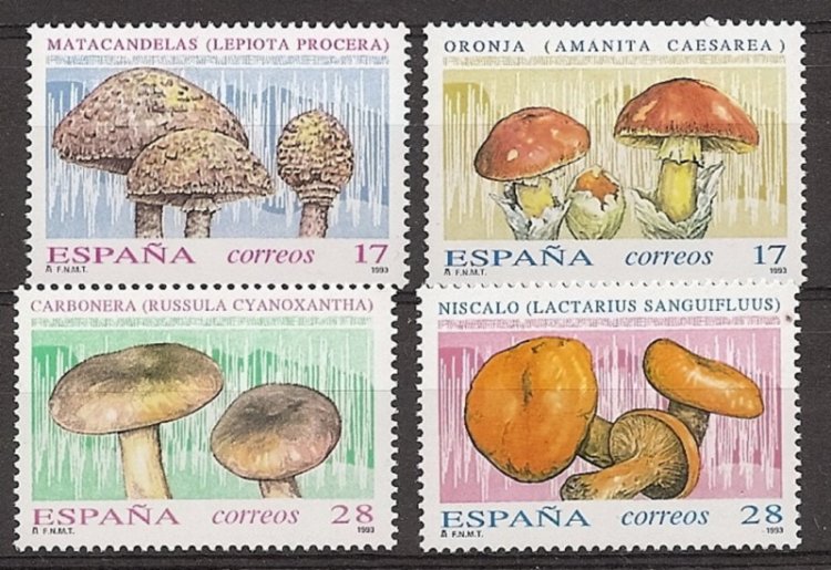 Sellos - Países - España - 2º Cent. (Series Completas) - Juan Carlos I - 1993 - 3244/47 - ** - Click en la imagen para cerrar