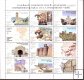 Sellos - PaÃses - España - 2º Cent. (Series Completas) - Juan Carlos I - 2001 - 3843/54 - **