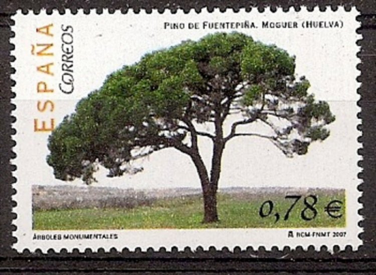 Sellos - Países - España - 2º Cent. (Series Completas) - Juan Carlos I - 2007 - 4316 - ** - Click en la imagen para cerrar