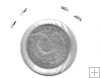 Monedas - Europa - Italia (Estados Italianos) - 124.1 - 1828 - CerdeÃ±a - 50 ct - plata