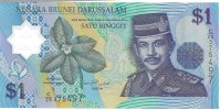 Billetes - Asia - Brunei - 22 - S/C - 1996-2008 - Ringgit - num ref:375497