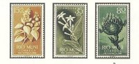 Río muni - ** - 10/13