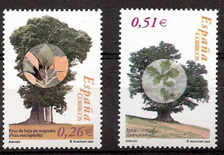 Sellos - Países - España - 2º Cent. (Series Completas) - Juan Carlos I - 2003 - 4022/23 - ** - Click en la imagen para cerrar