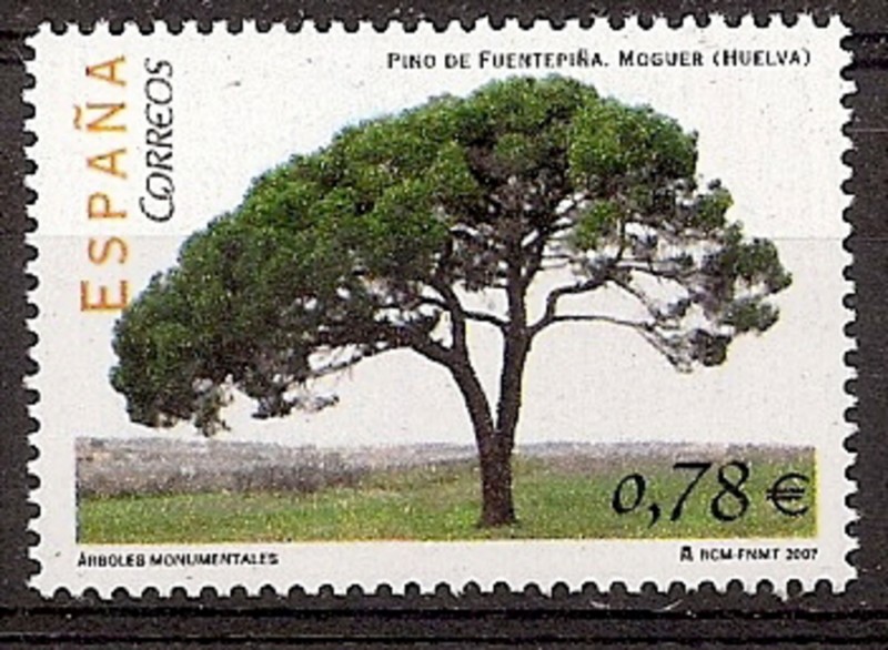 Sellos - Países - España - 2º Cent. (Series Completas) - Juan Carlos I - 2007 - 4316 - **