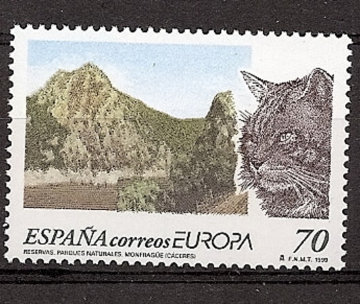 Briefmarken - Länder - Spanien - 2º Cent. (Vollständige Serien) - Juan Carlos I - 1999 - 3628 - **