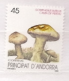 Sellos - Países - Andorra - Correo Español - Series completas - 1990 - 220 - **